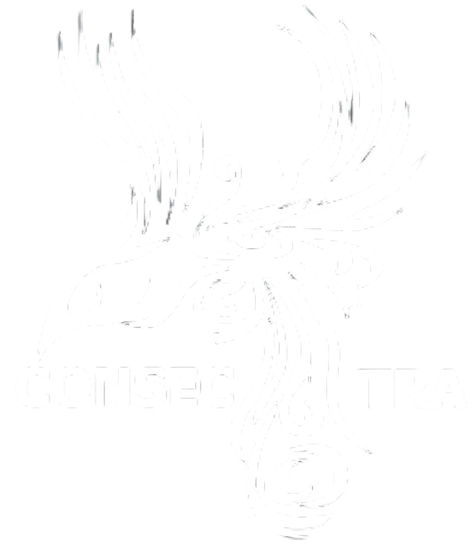 Consectra